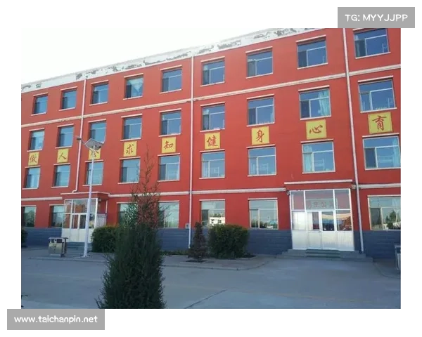 奥利塞与法国队四国血统成就的辉煌征程与历史影响